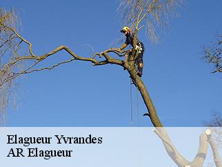 Elagueur  yvrandes-61800 Entreprise KIVIG, Elagage express 61