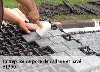 Entreprise de pose de dallage et pavé 61500