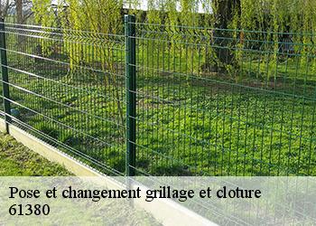 Pose et changement grillage et cloture  61380