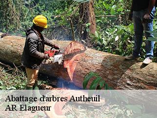 Abattage d'arbres  autheuil-61190 AR Elagueur