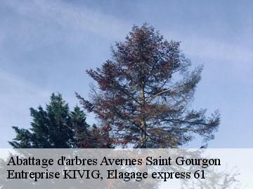 Abattage d'arbres  avernes-saint-gourgon-61470 Entreprise KIVIG, Elagage express 61