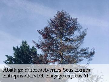 Abattage d'arbres  avernes-sous-exmes-61310 Entreprise KIVIG, Elagage express 61