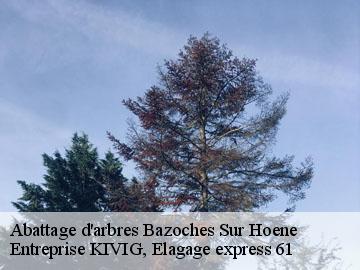 Abattage d'arbres  bazoches-sur-hoene-61560 Entreprise KIVIG, Elagage express 61