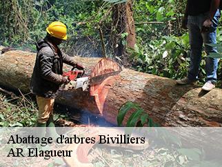 Abattage d'arbres bivilliers-61190 AR Elagueur
