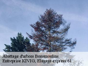 Abattage d'arbres  bonsmoulins-61380 Entreprise KIVIG, Elagage express 61