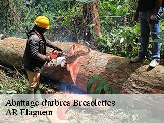 Abattage d'arbres bresolettes-61190 AR Elagueur