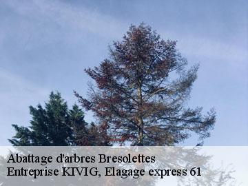 Abattage d'arbres  bresolettes-61190 Entreprise KIVIG, Elagage express 61