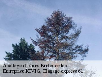 Abattage d'arbres  bretoncelles-61110 Entreprise KIVIG, Elagage express 61