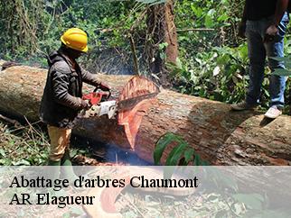 Abattage d'arbres  chaumont-61230 AR Elagueur