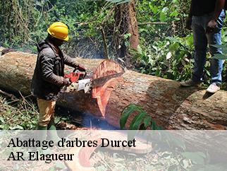 Abattage d'arbres durcet-61100 AR Elagueur