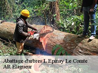 Abattage d'arbres  l-epinay-le-comte-61350 AR Elagueur