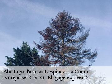 Abattage d'arbres  l-epinay-le-comte-61350 Entreprise KIVIG, Elagage express 61