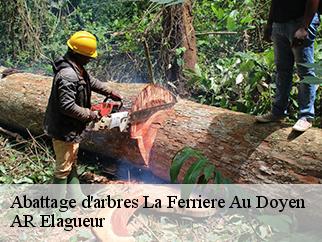 Abattage d'arbres la-ferriere-au-doyen-61380 AR Elagueur