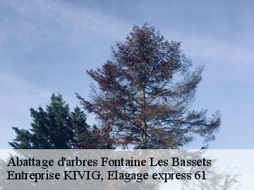 Abattage d'arbres  fontaine-les-bassets-61160 Entreprise KIVIG, Elagage express 61