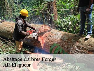 Abattage d'arbres  forges-61250 AR Elagueur