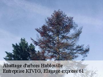 Abattage d'arbres  habloville-61210 Entreprise KIVIG, Elagage express 61