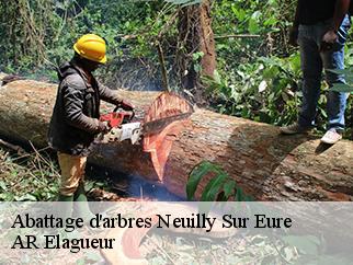 Abattage d'arbres neuilly-sur-eure-61290 AR Elagueur