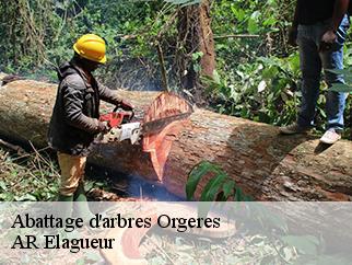 Abattage d'arbres orgeres-61230 AR Elagueur