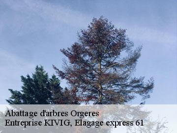 Abattage d'arbres  orgeres-61230 Entreprise KIVIG, Elagage express 61