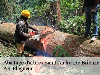 Abattage d'arbres saint-andre-de-briouze-61220 AR Elagueur