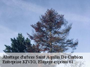 Abattage d'arbres  saint-aquilin-de-corbion-61380 Entreprise KIVIG, Elagage express 61