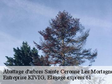 Abattage d'arbres  sainte-ceronne-les-mortagne-61380 Entreprise KIVIG, Elagage express 61