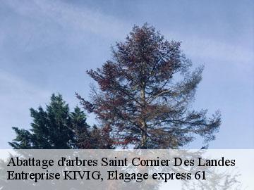 Abattage d'arbres  saint-cornier-des-landes-61800 Entreprise KIVIG, Elagage express 61