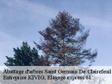 Abattage d'arbres  saint-germain-de-clairefeuil-61240 Entreprise KIVIG, Elagage express 61
