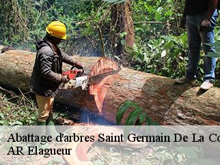 Abattage d'arbres  saint-germain-de-la-coudre-61130 AR Elagueur