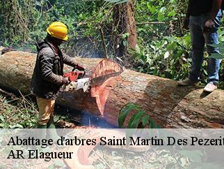 Abattage d'arbres saint-martin-des-pezerits-61380 AR Elagueur