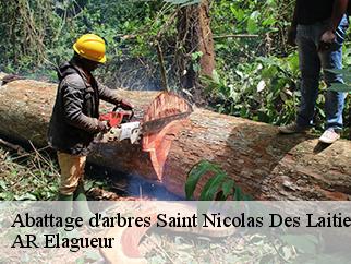Abattage d'arbres saint-nicolas-des-laitiers-61550 AR Elagueur