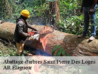 Abattage d'arbres  saint-pierre-des-loges-61370 AR Elagueur
