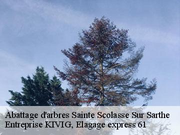 Abattage d'arbres  sainte-scolasse-sur-sarthe-61170 Entreprise KIVIG, Elagage express 61