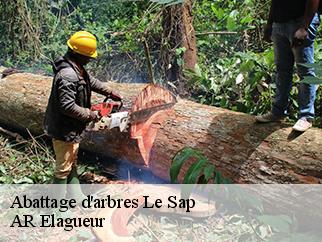 Abattage d'arbres le-sap-61470 AR Elagueur