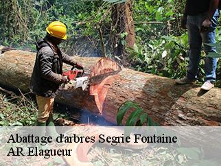 Abattage d'arbres segrie-fontaine-61100 AR Elagueur