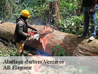 Abattage d'arbres  verrieres-61110 AR Elagueur