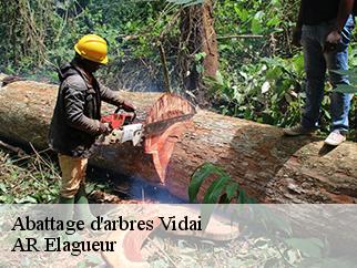 Abattage d'arbres vidai-61360 AR Elagueur