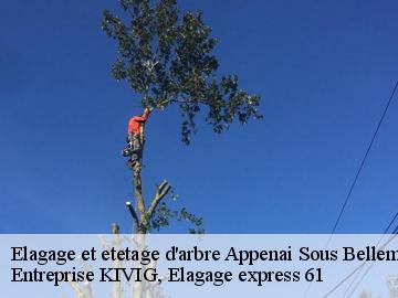 Elagage et etetage d'arbre  appenai-sous-belleme-61130 Entreprise KIVIG, Elagage express 61