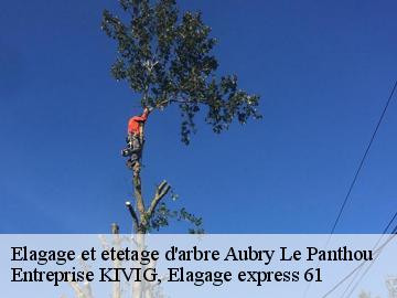 Elagage et etetage d'arbre  aubry-le-panthou-61120 Entreprise KIVIG, Elagage express 61