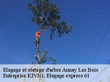 Elagage et etetage d'arbre  aunay-les-bois-61500 Entreprise KIVIG, Elagage express 61