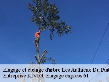 Elagage et etetage d'arbre  les-authieux-du-puits-61240 Entreprise KIVIG, Elagage express 61