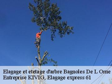 Elagage et etetage d'arbre  bagnoles-de-l-orne-61140 Entreprise KIVIG, Elagage express 61
