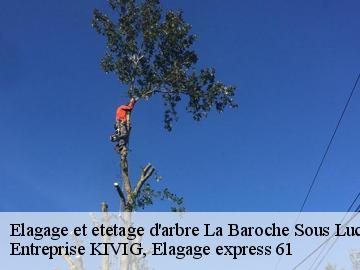 Elagage et etetage d'arbre  la-baroche-sous-luce-61330 Entreprise KIVIG, Elagage express 61