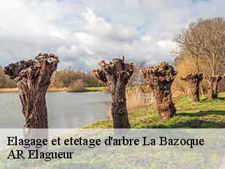 Elagage et etetage d'arbre  la-bazoque-61100 AR Elagueur