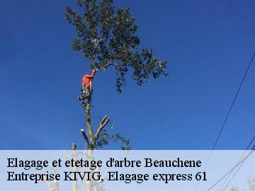 Elagage et etetage d'arbre  beauchene-61800 Entreprise KIVIG, Elagage express 61