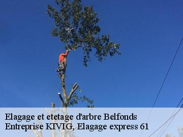Elagage et etetage d'arbre  belfonds-61500 Entreprise KIVIG, Elagage express 61