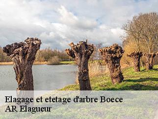 Elagage et etetage d'arbre  boece-61560 Entreprise KIVIG, Elagage express 61