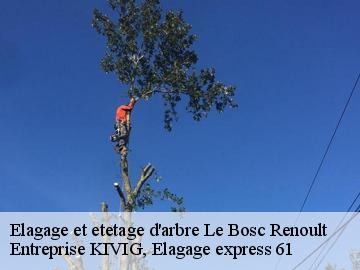 Elagage et etetage d'arbre  le-bosc-renoult-61470 Entreprise KIVIG, Elagage express 61
