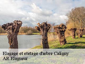 Elagage et etetage d'arbre  caligny-61100 Entreprise KIVIG, Elagage express 61