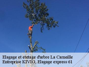 Elagage et etetage d'arbre  la-carneille-61100 Entreprise KIVIG, Elagage express 61